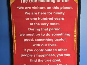 The True Meaning of Life