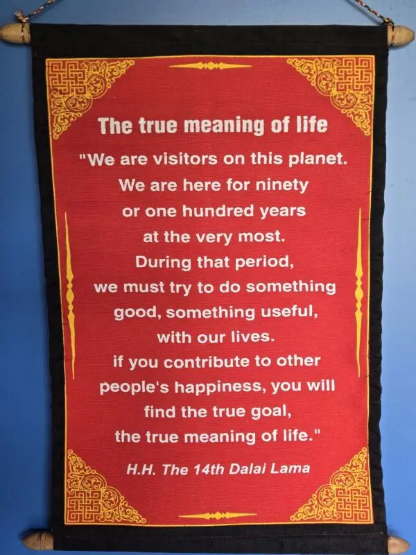 The True Meaning of Life