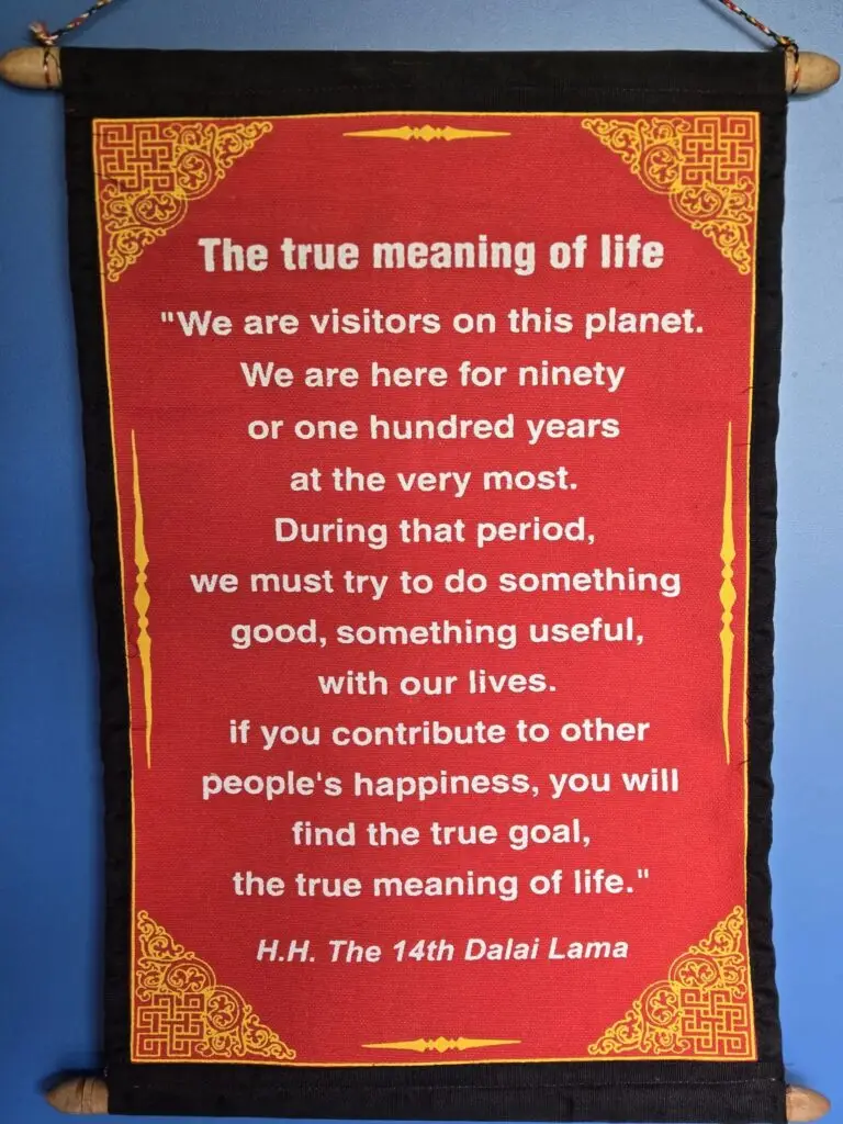 The True Meaning of Life