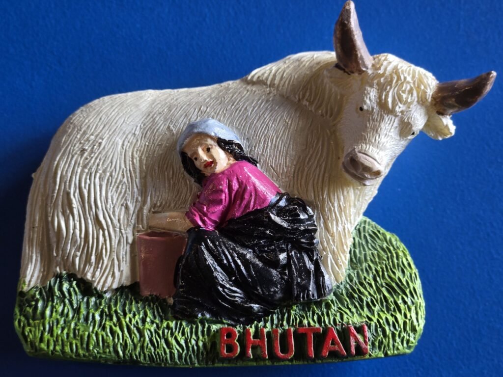 Fridge Magnet Yak Milking